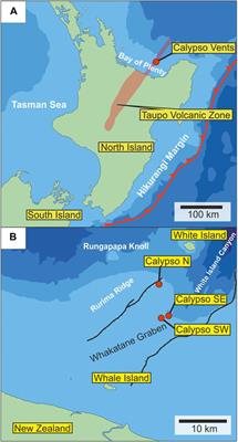 Trace Element Signatures in Pyrite and Marcasite From Shallow Marine Island Arc-Related Hydrothermal Vents, Calypso Vents, New Zealand, and Paleochori Bay, Greece